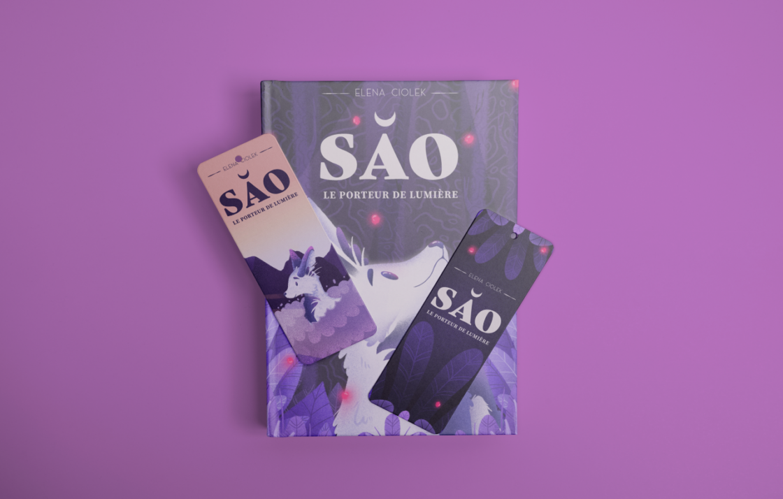 SAO, Le porteur de lumière